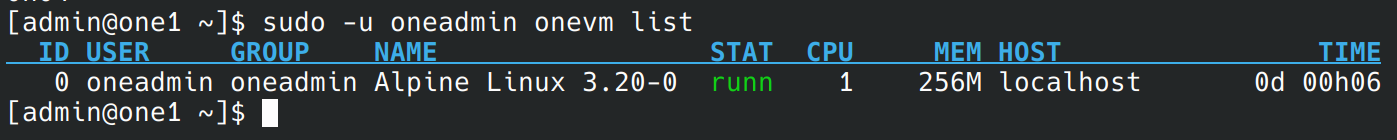 check running VM via cli within VM